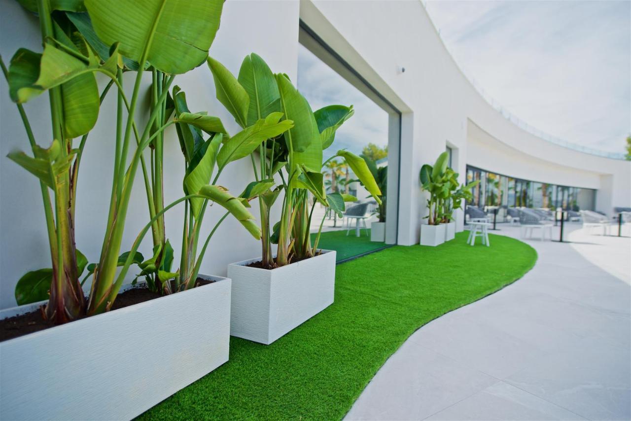 Syncrosfera Fitness&Health Hotel Boutique Pedreguer Extérieur photo